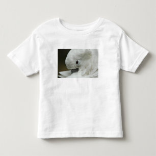 North America, USA, Florida, St. Augustine Toddler T-Shirt