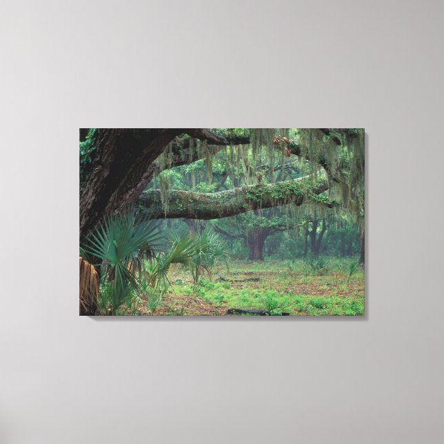 North America, USA, Georgia, Cumberland 2 Canvas Print (Front)