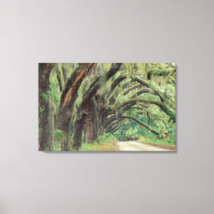 North America, USA, Georgia, Cumberland Canvas Print