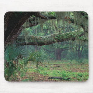 North America, USA, Georgia, Cumberland Mouse Pad