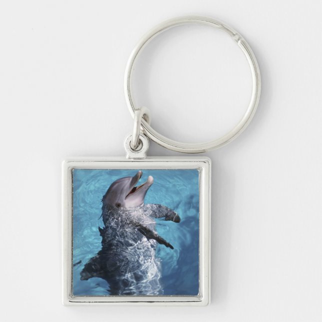 North America, USA, Hawaii. Dolphin Key Ring (Front)