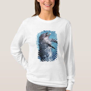 North America, USA, Hawaii. Dolphin T-Shirt