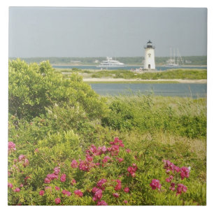 North America, USA, Massachusetts, Martha's Tile