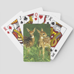 North America, USA, Minnesota. White-tailed 2 Playing Cards