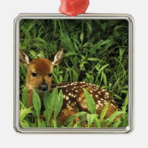 North America, USA, Minnesota. White-tailed Metal Tree Decoration