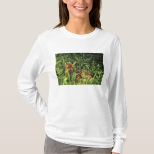 North America, USA, Minnesota. White-tailed T-Shirt