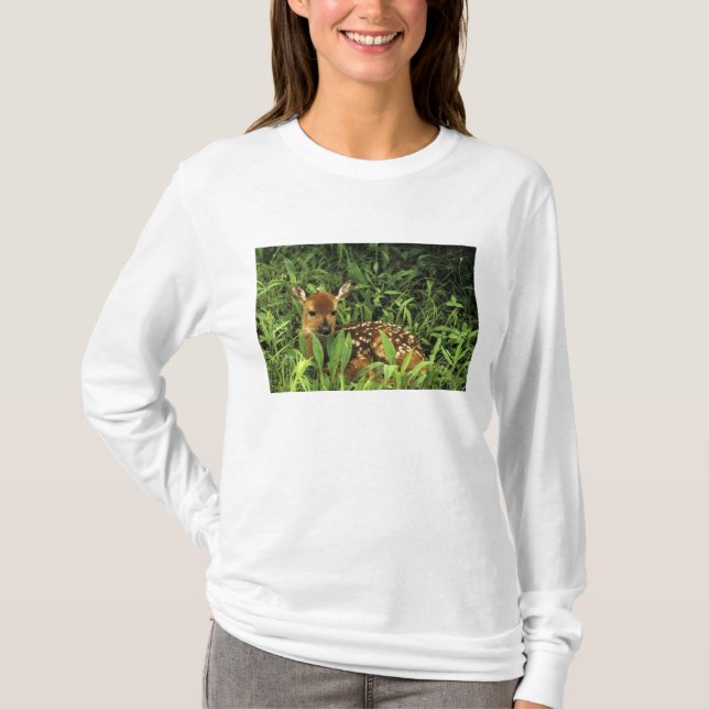 North America, USA, Minnesota. White-tailed T-Shirt (Front)