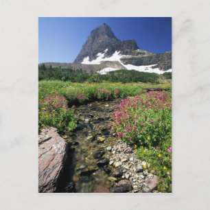 North America, USA, Montana, Glacier National 3 Postcard