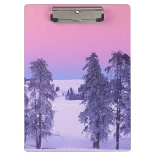 North America, USA, Montana, Yellowstone Clipboard