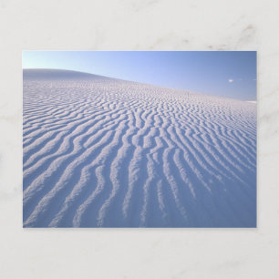 North America, USA, New Mexico, White Sand Dunes Postcard