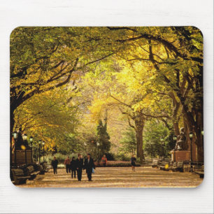 North America, USA, New York, New York City. 12 Mouse Pad