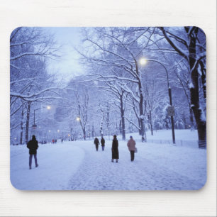 North America, USA, New York, New York City. 8 Mouse Pad