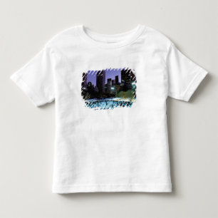 North America, USA, New York, New York City. 9 Toddler T-Shirt