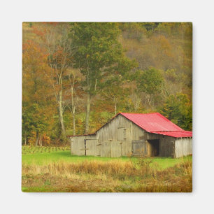 North America, USA, North Carolina, rural Magnet