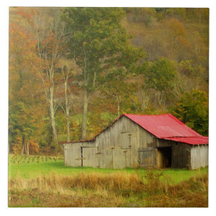 North America, USA, North Carolina, rural Tile