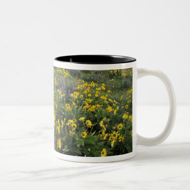 North America, USA, Oregon, Columbia River 2 Two-Tone Coffee Mug (Right)