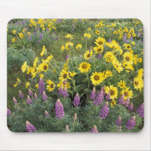North America, USA, Oregon, Columbia River Mouse Pad