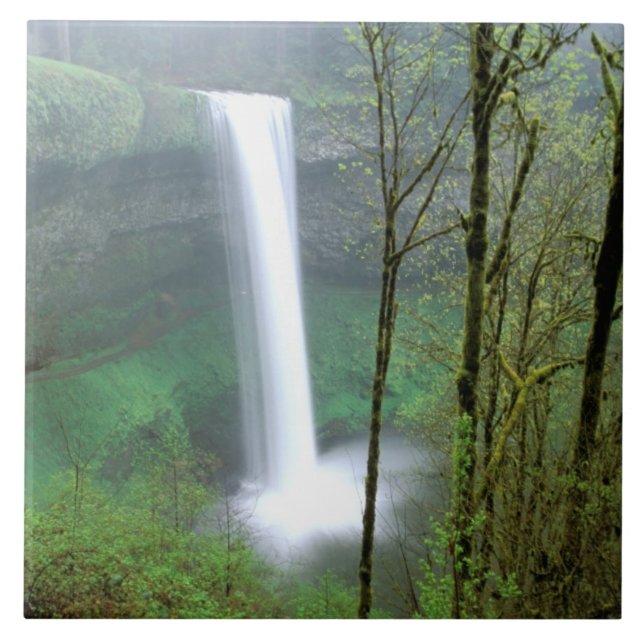 North America, USA, Oregon, Silver Falls State Tile (Front)