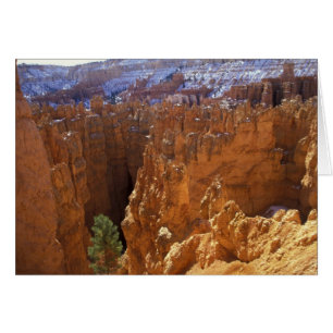 North America, USA, Utah, Bryce Canyon 2
