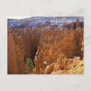 North America, USA, Utah, Bryce Canyon 2 Postcard