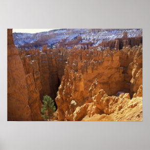 North America, USA, Utah, Bryce Canyon 2 Poster