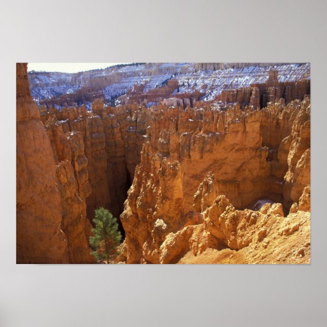 North America, USA, Utah, Bryce Canyon 2 Poster (Front)