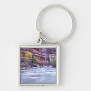 North America, USA, Utah, Zion National Park. 2 Key Ring
