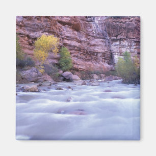North America, USA, Utah, Zion National Park. 2 Magnet