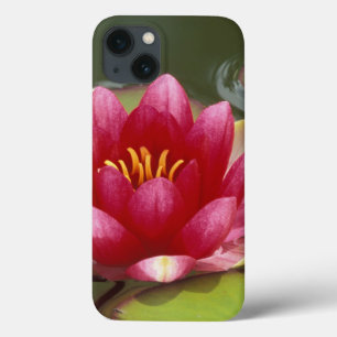 North America, USA, WA, Seattle, Woodland Park 2 iPhone 13 Case