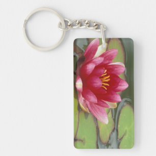 North America, USA, WA, Seattle, Woodland Park 2 Key Ring