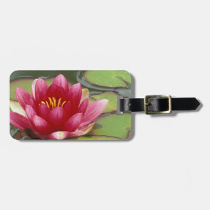North America, USA, WA, Seattle, Woodland Park 2 Luggage Tag