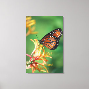 North America, USA, WA, Seattle, Woodland Park Canvas Print