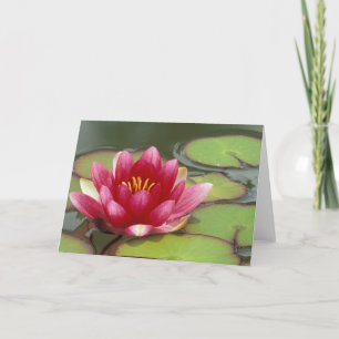 North America, USA, WA, Seattle, Woodland Park Card