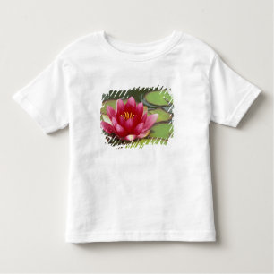 North America, USA, WA, Seattle, Woodland Park Toddler T-Shirt