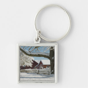 North America, USA, WA, Whidbey Island. 2 Key Ring