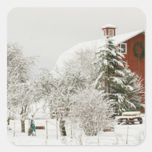 North America, USA, WA, Whidbey Island. Square Sticker