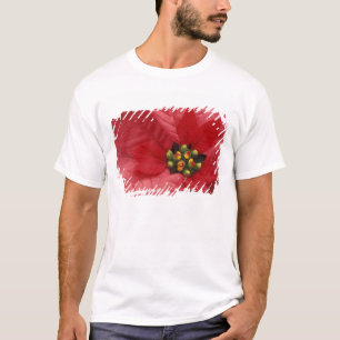 North America, USA, WA, Woodinville, Red 2 T-Shirt