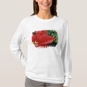 North America, USA, WA, Woodinville, Red T-Shirt