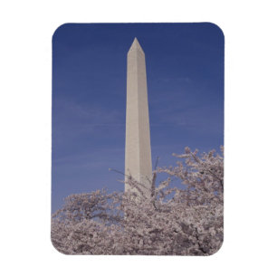 North America, USA, Washington D.C.. Washington Magnet