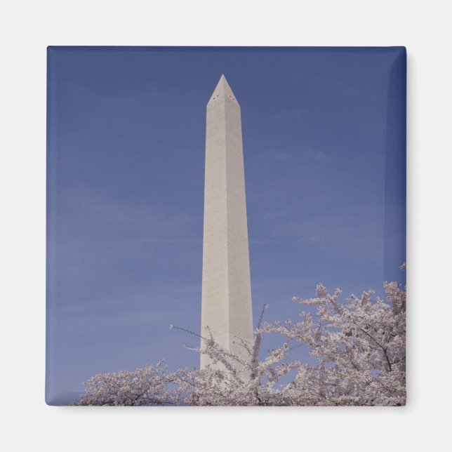 North America, USA, Washington D.C.. Washington Magnet (Front)