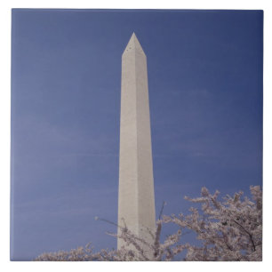 North America, USA, Washington D.C.. Washington Tile