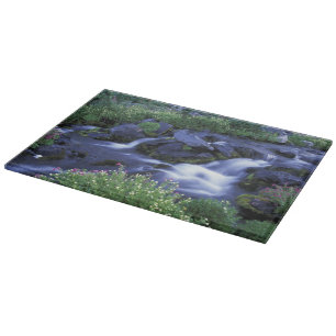 North America, USA, Washington, Mt. Rainier 3 Cutting Board