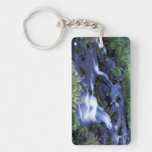 North America, USA, Washington, Mt. Rainier 3 Key Ring