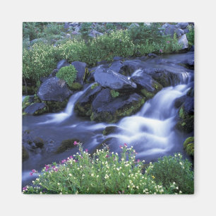 North America, USA, Washington, Mt. Rainier 3 Magnet