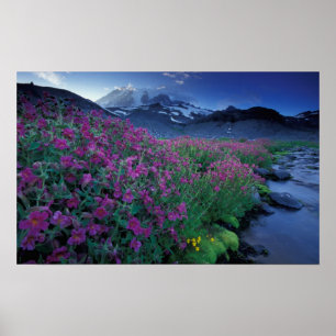 North America, USA, Washington, Mt. Rainier 6 Poster