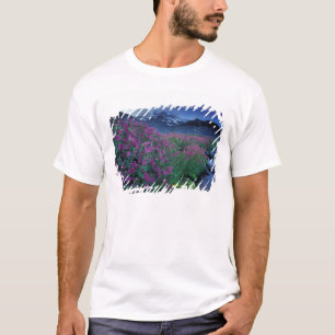 North America, USA, Washington, Mt. Rainier 6 T-Shirt