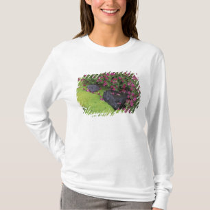 North America, USA, Washington, Mt. Rainier T-Shirt