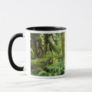 North America, USA, Washington, Olympic 3 Mug