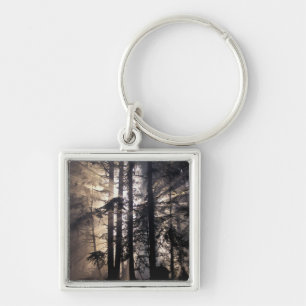 North America, USA, Washington, Olympic NF, Key Ring