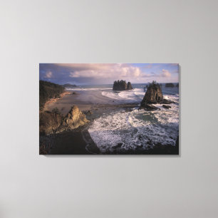 North America, USA, Washington, Olympic NP, Canvas Print